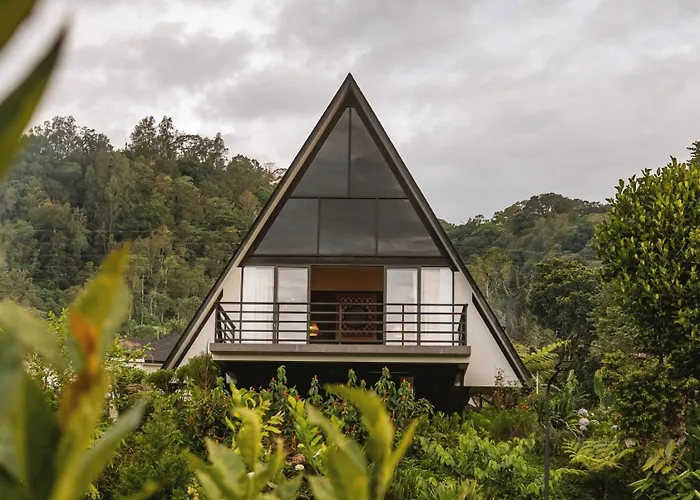 Buyan Lakeside Orman Evi Bedugul (Bali)