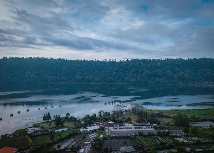 Orman Evi Buyan Lakeside *