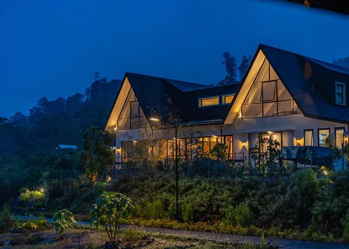 Buyan Lakeside Orman Evi